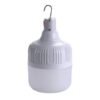 WhatsApp Image 2026-05-20 at 08.21.41 Rechargeable Hanging Lamp Box of 5